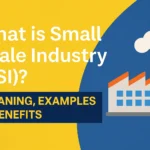 What is small scale industry
